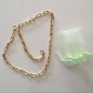 Gold toned mask chain with clasps